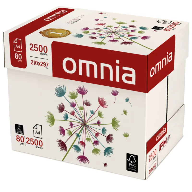 Mezzo Bancale di Carta Omnia Premium A4 80g Multiuso, 120 Risme per fotocopie