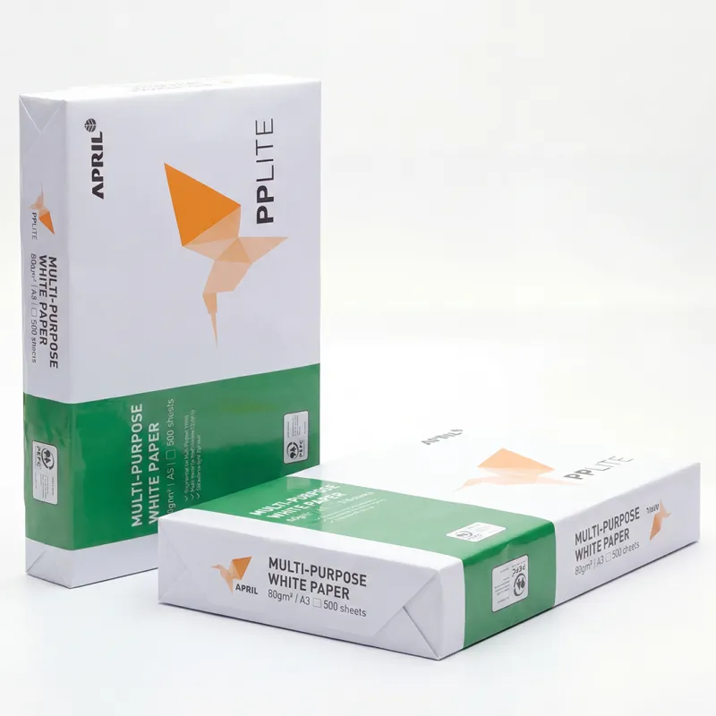 2 Risme di Carta A3 PP Lite 80 gr