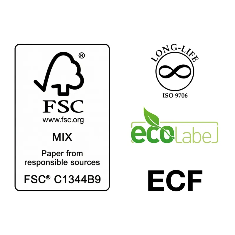 Copy Right Everyday Carta A4 75 gr - 10 Risme