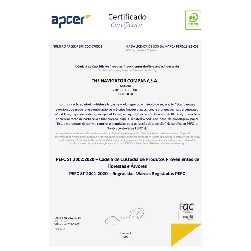 INACOPIA Office Carta A4 80gr - 20 Risme da 500 fogli