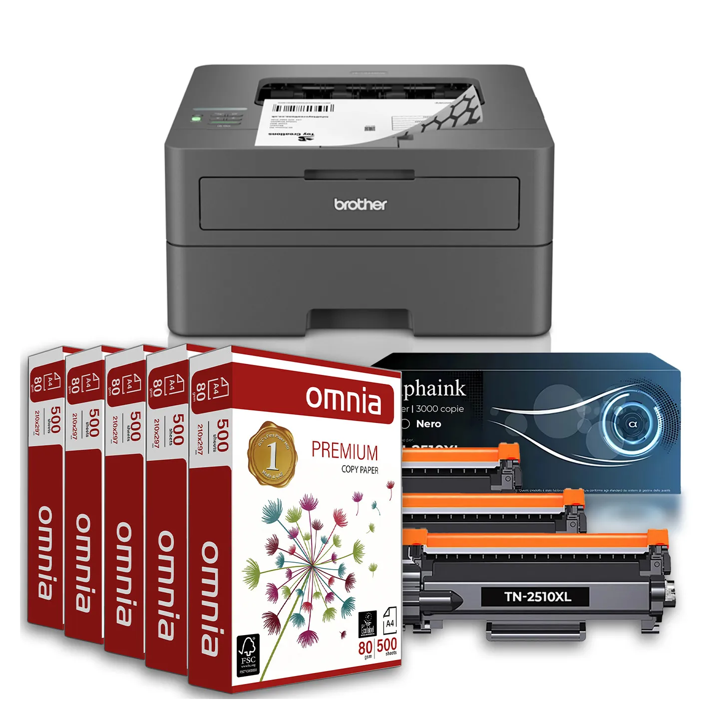 Bundle ALL INCLUSIVE Brother HL-L2445DW