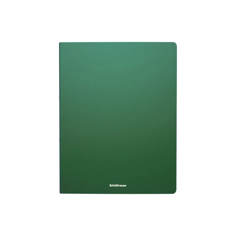 Box Risparmio 4 Raccoglitore A4 2 Anelli ErichKrause Matt Classic Verde