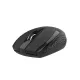 Mouse Wireless Acer EXPBG 014