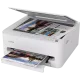 Stampante Inkjet a Colori Canon Pixma TS-4150i