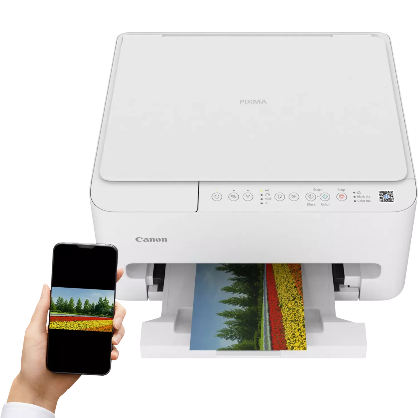 Stampante Inkjet a Colori Canon Pixma TS-4150i