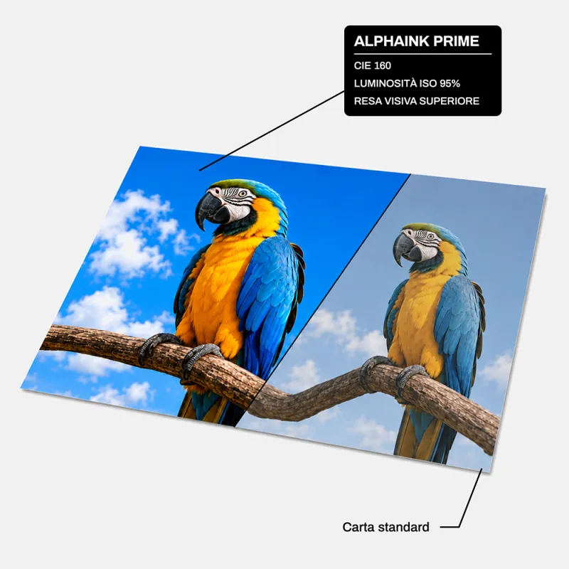 Bancale da 240 Risme Carta A4 80 gr Alphaink Prime