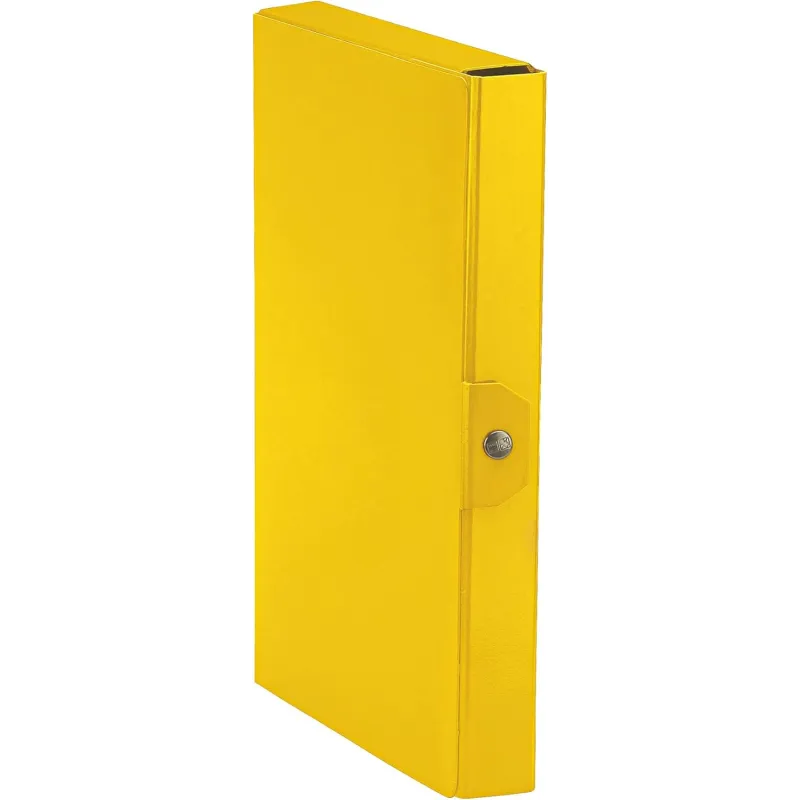 Esselte C24 EUROBOX Cartella per Progetti - Dorso 4 cm - Giallo