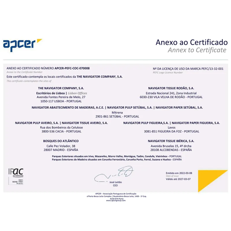 INACOPIA Office Carta A4 80gr - 20 Risme da 500 fogli