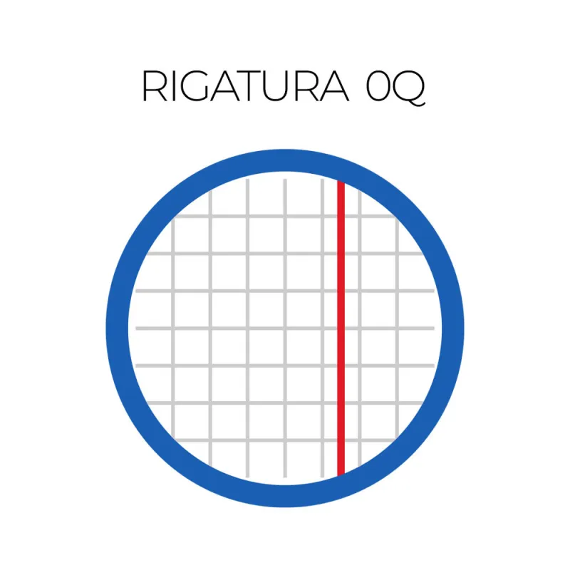 Quaderni Blasetti ColorClub A4 Quadretti 0Q 5 mm 80g Assortiti