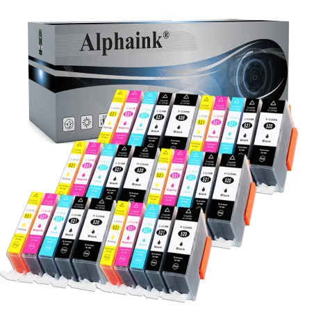 Cartucce Compatibili per CANON PGI520CHIPKIT30 | Alphaink - Qualità e Risparmio