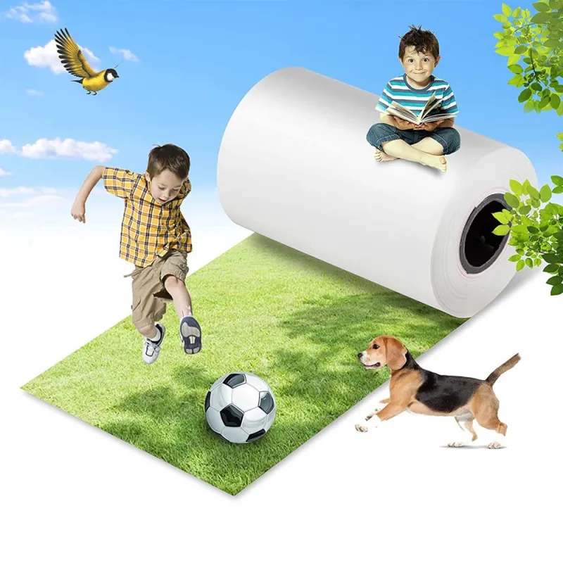 Rotoli-Carta-Termica-per-registratore-di-cassa-80-mm-x-80-metri-foro-anima-12-mm-confezione-da-10