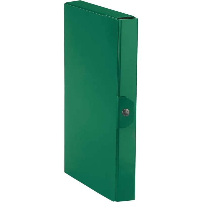Esselte C24 EUROBOX Cartella per Progetti - Dorso 4 cm - Verde