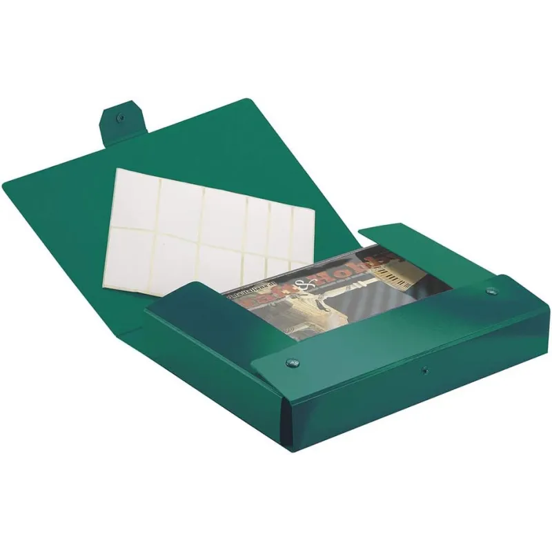 Esselte C24 EUROBOX Cartella per Progetti - Dorso 4 cm - Verde