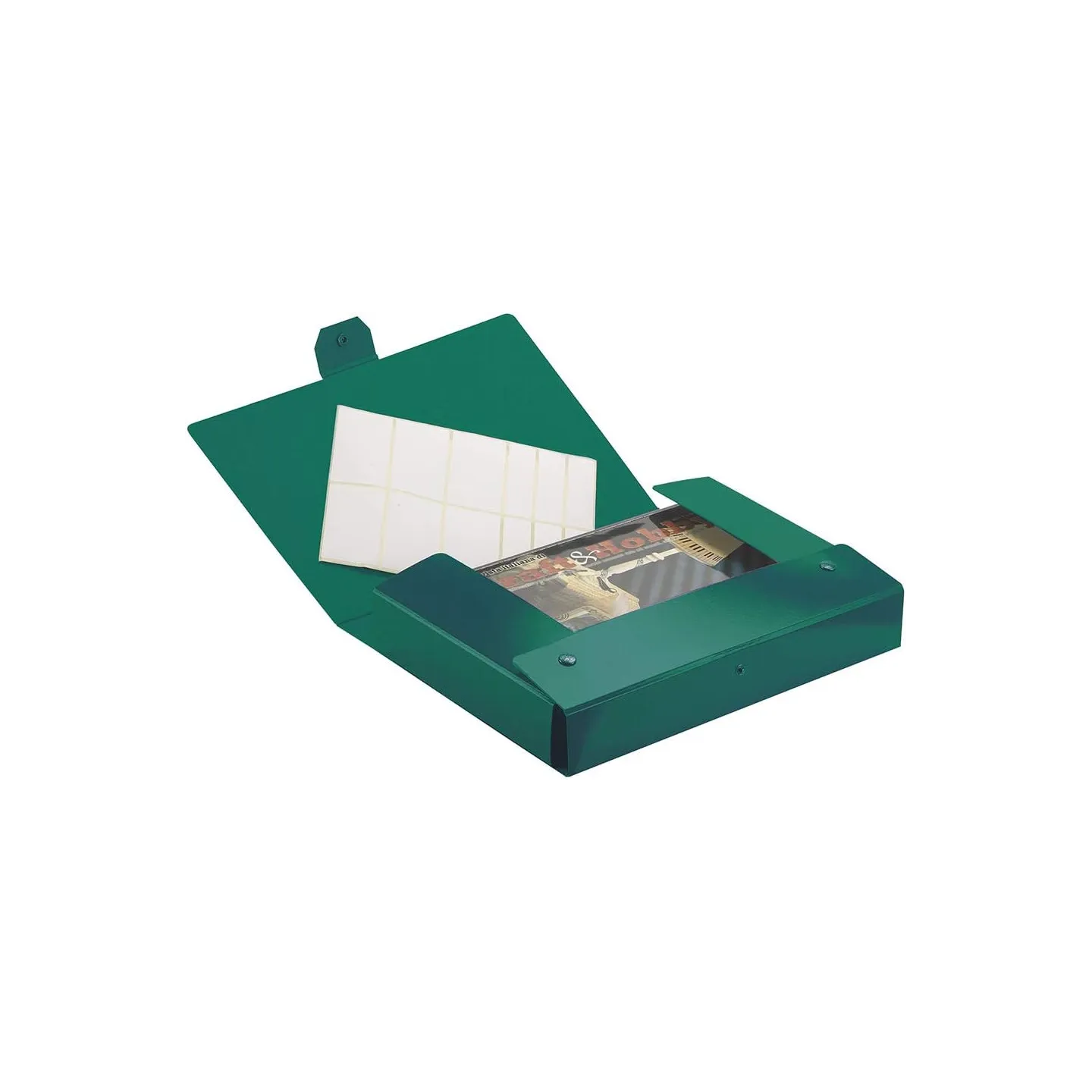 Esselte C24 EUROBOX Cartella per Progetti - Dorso 4 cm - Verde