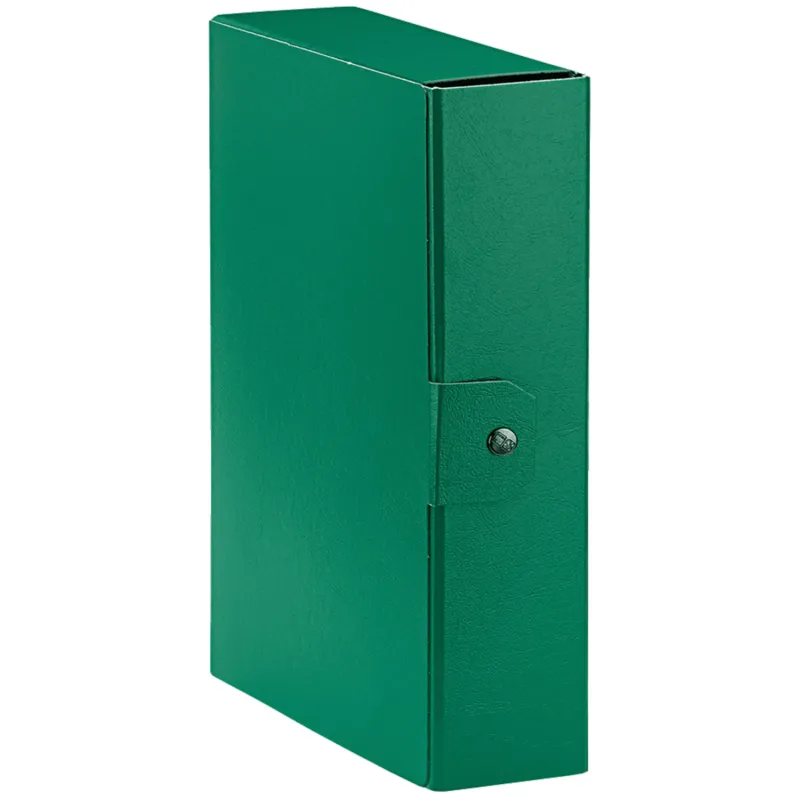Esselte C28 EUROBOX Cartella per Progetti - Dorso 8 cm - Verde