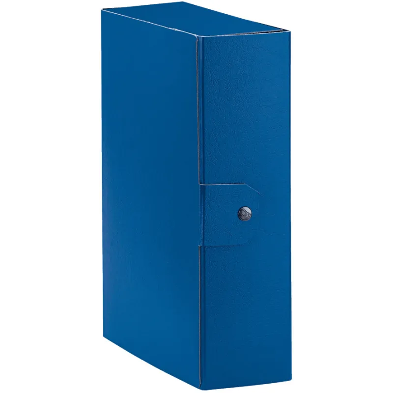 Esselte C30 EUROBOX Cartella per Progetti - Dorso 10 cm - Blu