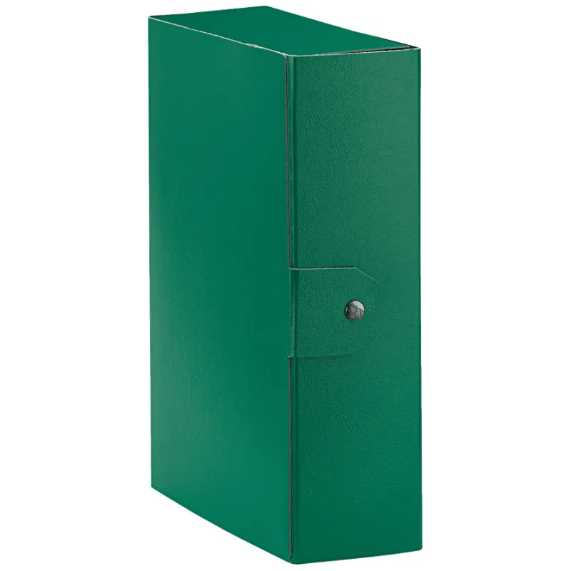 Esselte C30 EUROBOX Cartella per Progetti - Dorso 10 cm - Verde