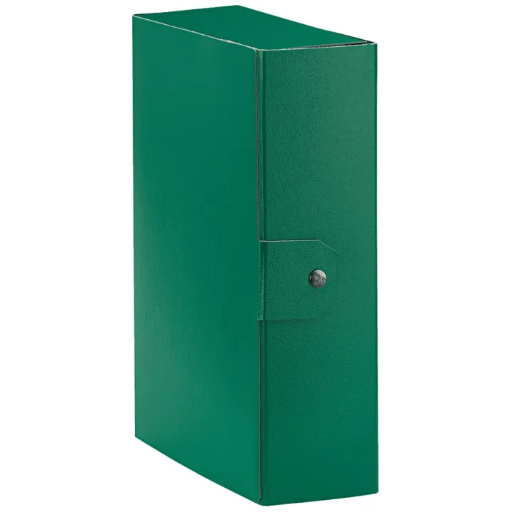 Offerta  Cartella Esselte C30 EUROBOX - Verde - 25x35 cm