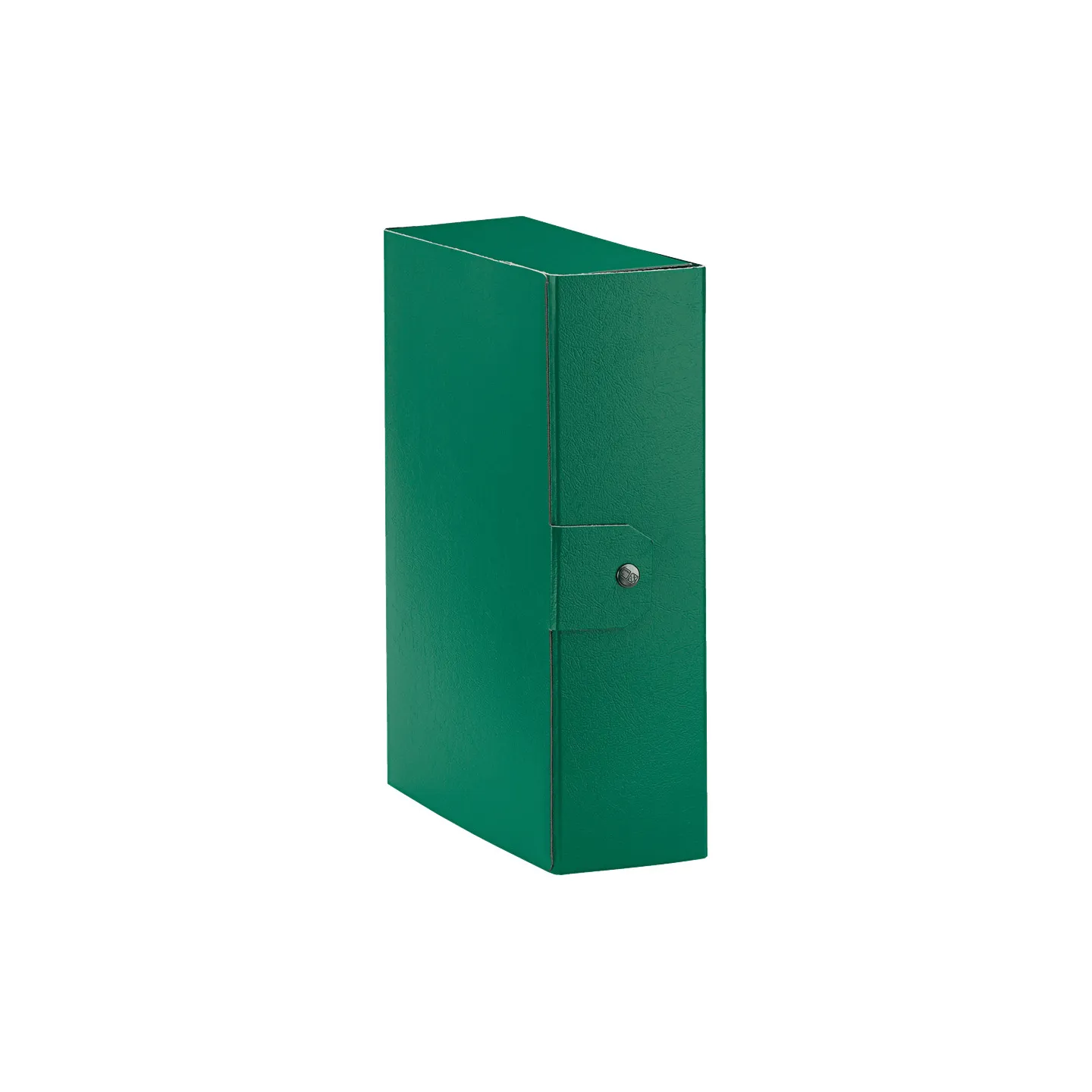 Esselte C30 EUROBOX Cartella per Progetti - Dorso 10 cm - Verde