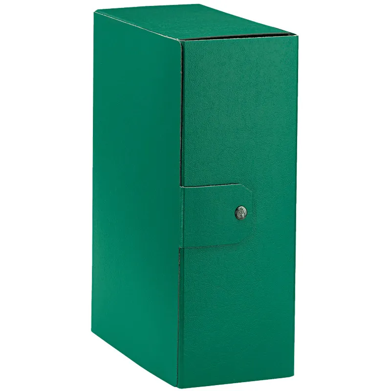Esselte C32 EUROBOX Cartella per Progetti -Dorso 12 cm - Verde