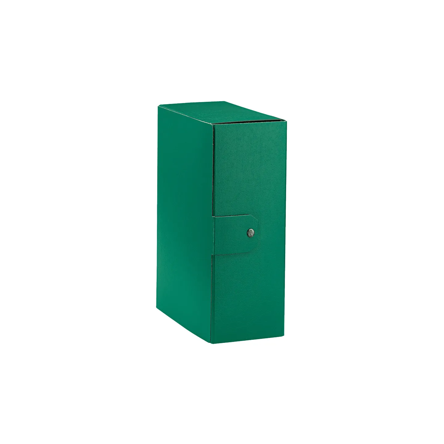 Esselte C32 EUROBOX Cartella per Progetti -Dorso 12 cm - Verde