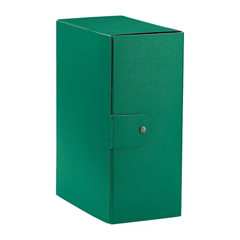 Esselte C35 EUROBOX Cartella per Progetti - Dorso 15 cm - Verde