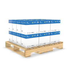 Acquista Carta per fotocopie A4 | 120 Risme | 75 gr - Alphaink