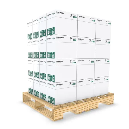 240 risme di carta A4 Discovery