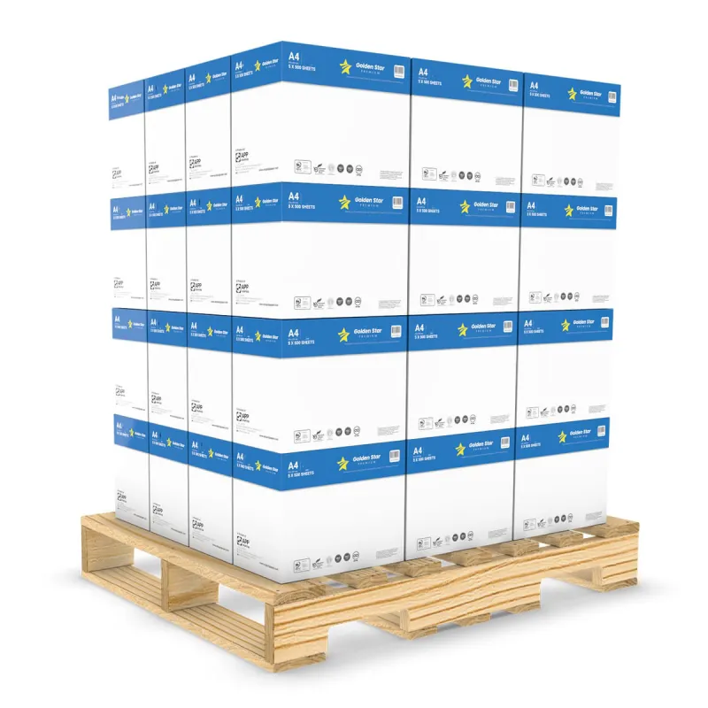 Acquista Carta per fotocopie A4 | 240 Risme | 75 gr - Alphaink