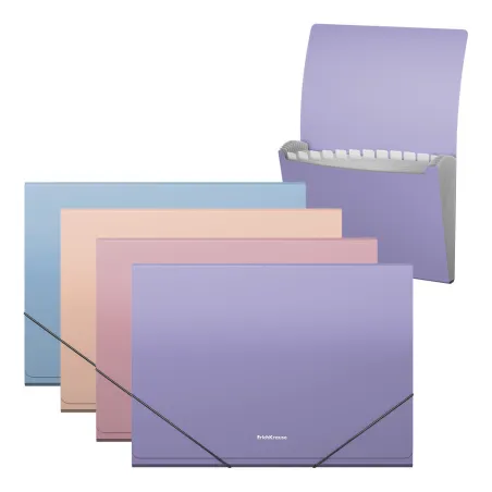 Cartella espandibile ErichKrause Soft Manga, 13 tasche, A4, colori assortiti (confezione da 4 pezzi)