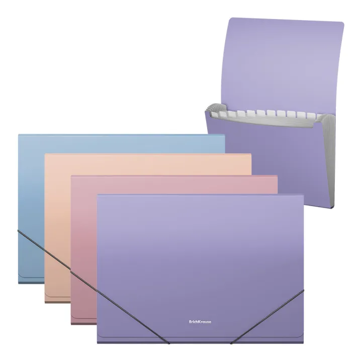 Cartella espandibile ErichKrause Soft Manga, 13 tasche, A4, colori assortiti (confezione da 4 pezzi)