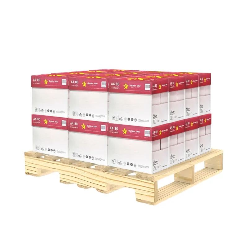 Scegli Bancale di Carta A4 Golden Star per fotocopie | 120 Risme