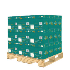 Bancale Carta A4 PaperOne Copier 80 gr per fotocopie | 180 Risme | Alphaink