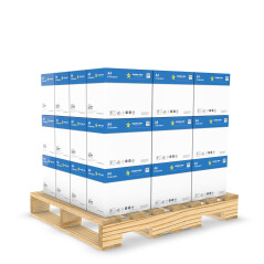 Acquista Carta per fotocopie A4 | 180 Risme | 75 gr - Alphaink