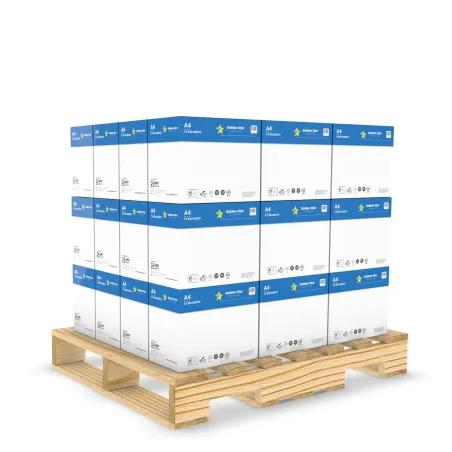 Acquista Carta per fotocopie A4 | 180 Risme | 75 gr - Alphaink