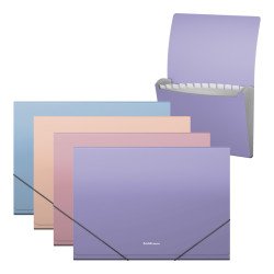 Cartella espandibile ErichKrause Soft Manga, 13 tasche, A4, colori assortiti (confezione da 4 pezzi) Cartella espandibile ErichKrause Soft Manga, 13 tasche, A4, colori assortiti (confezione da 4 pezzi)