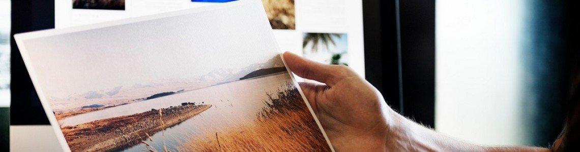 Vendita online di cartucce per stampanti: il caso di Alphaink Vendita online di cartucce per stampanti: il caso di Alphaink