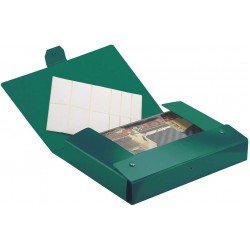 Esselte C24 EUROBOX Cartella per Progetti - 25 x 35 cm - Dorso 4 cm - Verde - Confezione da 1 Esselte C24 EUROBOX Cartella per Progetti - 25 x 35 cm - Dorso 4 cm - Verde - Confezione da 1