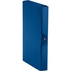 Esselte C24 EUROBOX Cartella per Progetti - 25 x 35 cm - Dorso 4 cm - Blu - Confezione da 1 Esselte C24 EUROBOX Cartella per Progetti - 25 x 35 cm - Dorso 4 cm - Blu - Confezione da 1