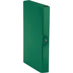 Esselte C24 EUROBOX Cartella per Progetti - 25 x 35 cm - Dorso 4 cm - Verde - Confezione da 1 Esselte C24 EUROBOX Cartella per Progetti - 25 x 35 cm - Dorso 4 cm - Verde - Confezione da 1