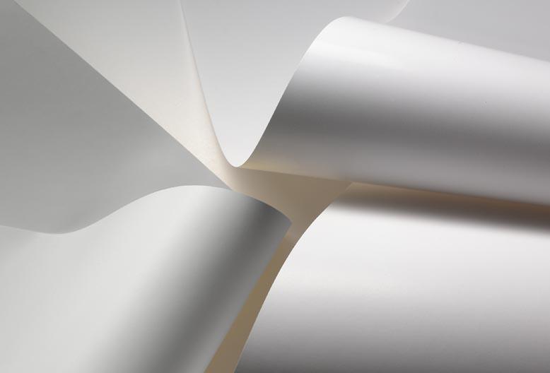 Acquista la giusta Risma di Carta per il tuo ufficio Alphaink Acquista la giusta Risma di Carta per il tuo ufficio Alphaink